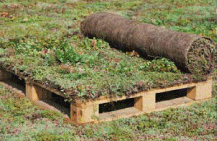 Urbanscape Sedum-mix Blanket